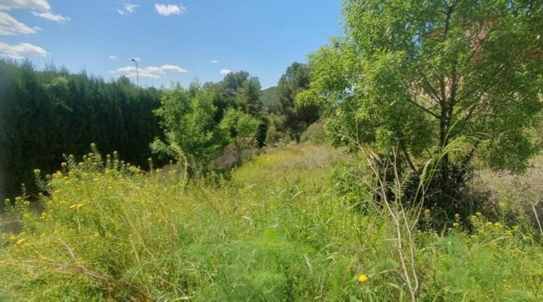 Castellón - Borriol - 413m2