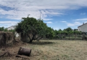 Chalet independiente con terreno en venta en la España, Monforte de Lemos, ref: TR292048 foto
