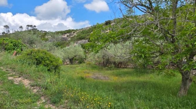Tarragona - el Perelló - 39705m2