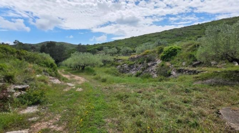 Tarragona - el Perelló - 39705m2