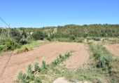 Xalet independent amb terreny en venda a la España, Calaceit, ref.: TR281519 foto