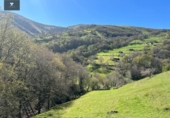 Finca rústica en venda a la España, Selaya, ref.: TR291592 foto