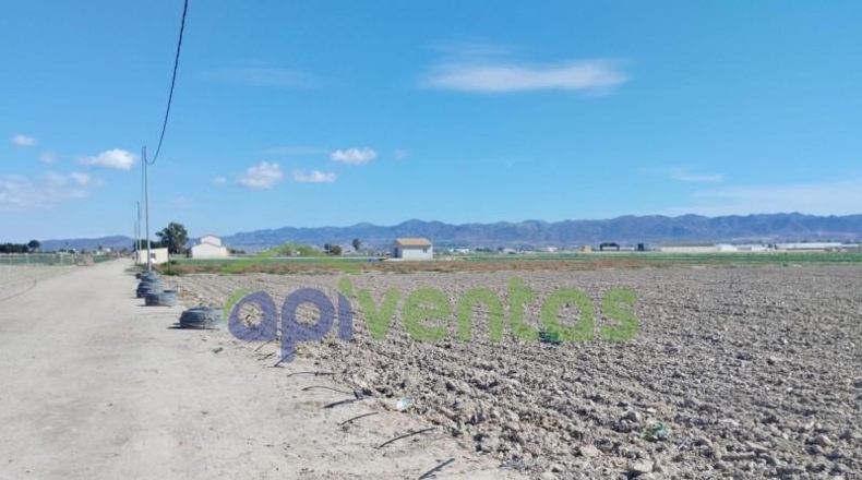 Murcia - Lorca - 5010m2