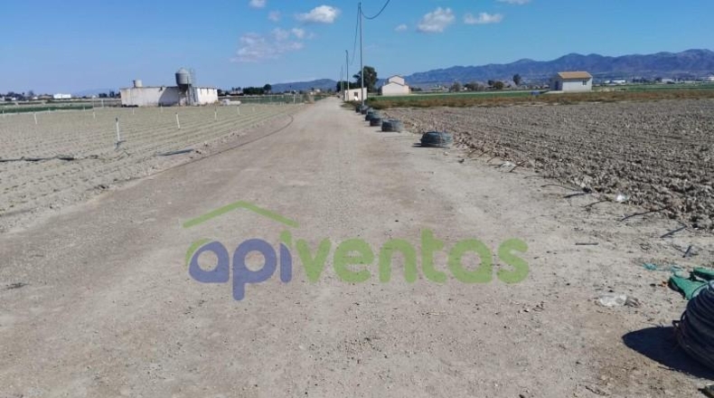 Murcia - Lorca - 5010m2