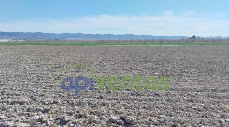 Murcia - Lorca - 5010m2