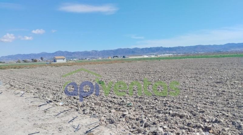 Murcia - Lorca - 5010m2