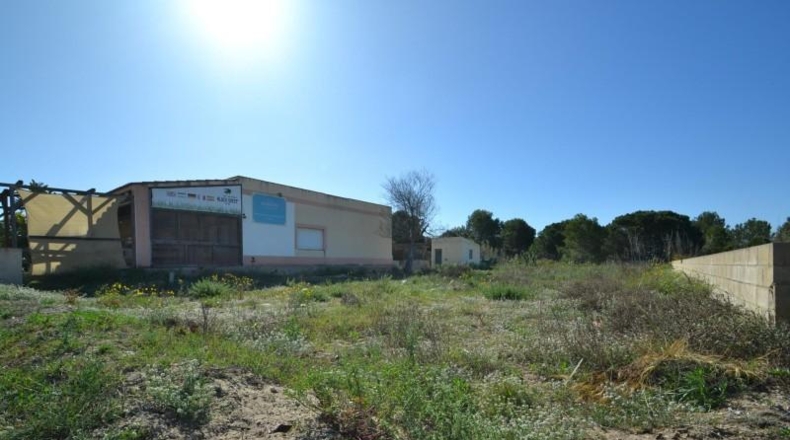 Tarragona - Deltebre - 600m2