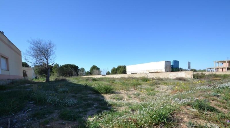 Tarragona - Deltebre - 600m2