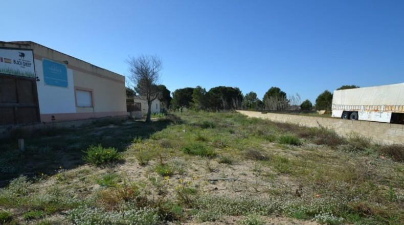 Tarragona - Deltebre - 600m2