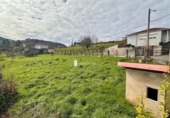 Casa de camp amb terreny en venda a la España, Celanova, ref.: TR312891 foto