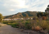 Sòl urbà en venda a la España, Múrcia, ref.: TR240428 foto
