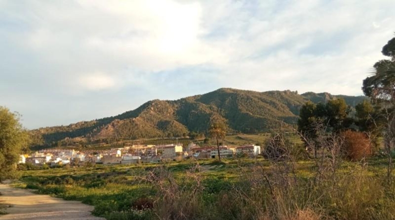 Murcia - Murcia - 260m2