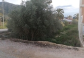 Sòl urbà en venda a la España, Múrcia, ref.: TR240428 foto