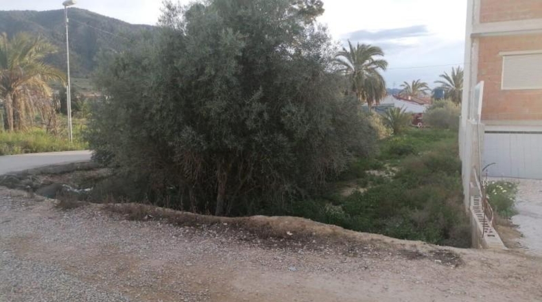 Murcia - Murcia - 260m2