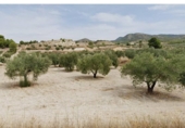 Terreny no urbanitzable en venda a la España, Saix, ref.: TR158455 foto