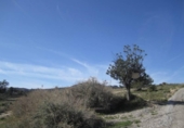Parcel·la urbanitzable en venda a la España, Novelda, ref.: TR129233 foto