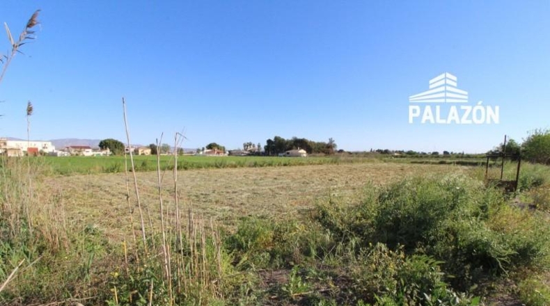 Alicante - Dolores - 7000m2