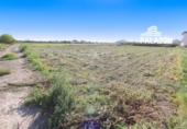 Parcel·la urbanitzable en venda a la España, Dolores, ref.: TR159052 foto