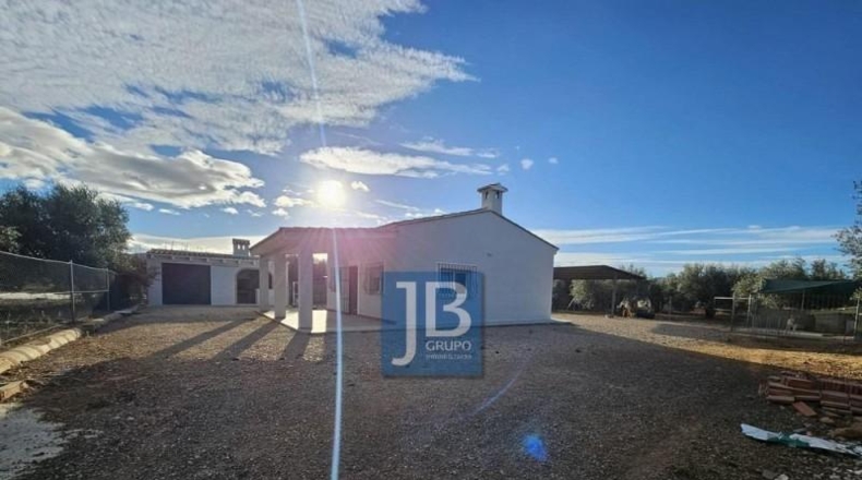 Valencia - Llanera de Ranes - 2624m2