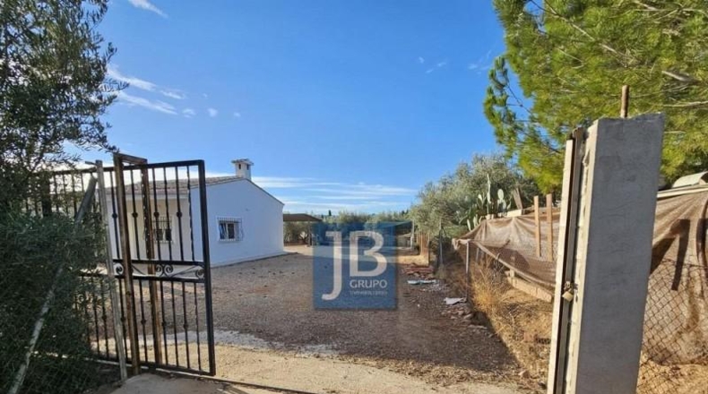 Valencia - Llanera de Ranes - 2624m2