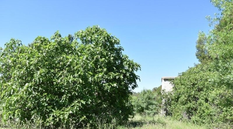 Теруэль - Torre del Compte - 5496m2