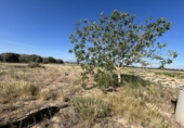 Country house with land for sale on España, Ablitas, ref: TR295816 photo