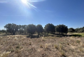 Ablitas 7580&nbsp;m² 