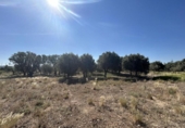 Country house with land for sale on España, Ablitas, ref: TR295816 photo