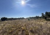 Country house with land for sale on España, Ablitas, ref: TR295816 photo