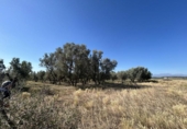 Country house with land for sale on España, Ablitas, ref: TR295816 photo