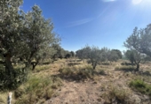 Country house with land for sale on España, Ablitas, ref: TR295816 photo