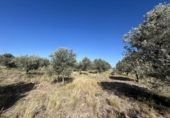 Country house with land for sale on España, Ablitas, ref: TR295816 photo
