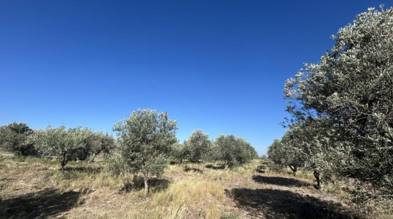 Наварра - Ablitas - 7580m2