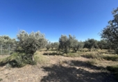 Country house with land for sale on España, Ablitas, ref: TR295816 photo