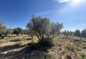 Country house with land for sale on España, Ablitas, ref: TR295816 photo