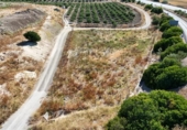 Non-developable land for sale on España, Las Cabezas de San Juan, ref: TR132025 photo