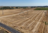 Non-developable land for sale on España, Las Cabezas de San Juan, ref: TR132025 photo