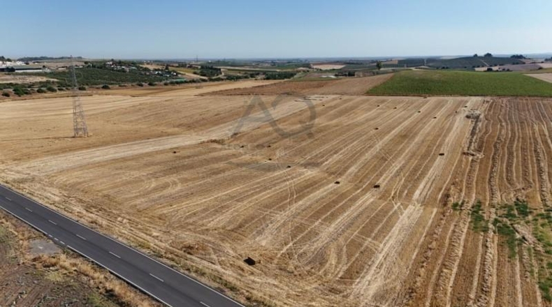 Sevilla - Las Cabezas de San Juan - 33798m2