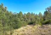 Terreno no urbanizable en venta en la España, Rasquera, ref: TR132354 foto