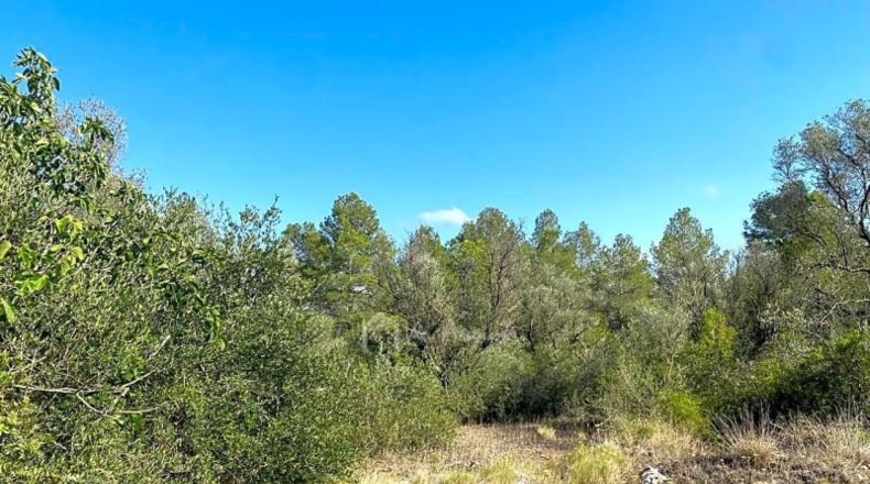 Tarragona - Rasquera - 35894m2