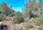 Terreno no urbanizable en venta en la España, Rasquera, ref: TR132354 foto