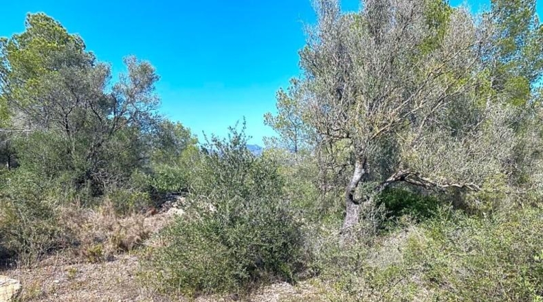 Tarragona - Rasquera - 35894m2
