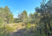 Terreno no urbanizable en venta en la España, Rasquera, ref: TR132354 foto