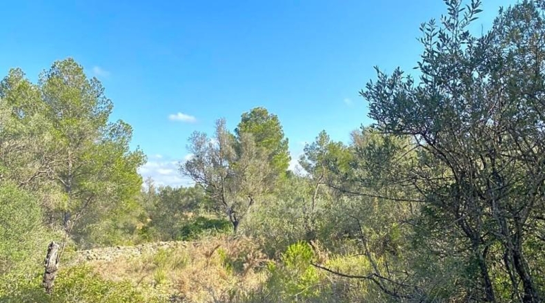 Tarragona - Rasquera - 35894m2