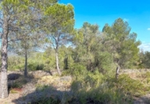 Terreno no urbanizable en venta en la España, Rasquera, ref: TR132354 foto
