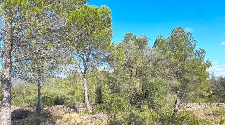 Tarragona - Rasquera - 35894m2