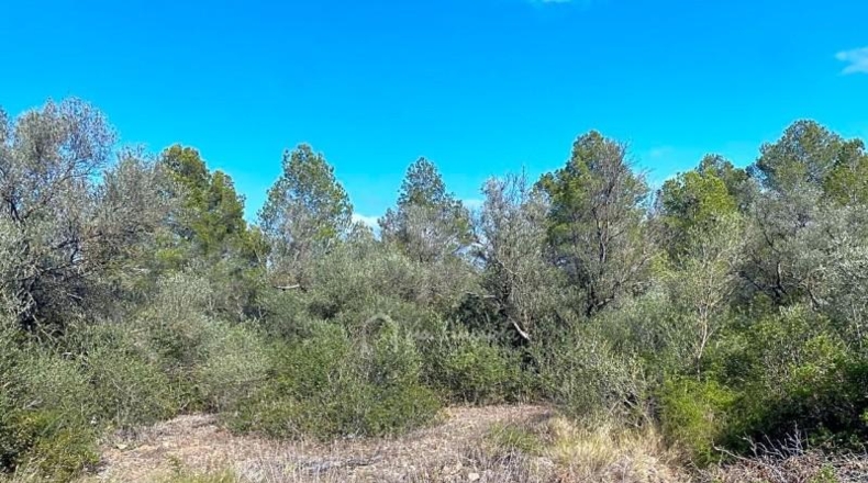 Tarragona - Rasquera - 35894m2