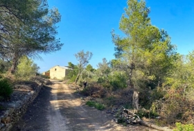 Foto 14