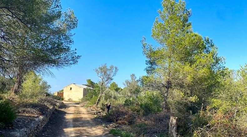 Tarragona - Rasquera - 35894m2