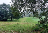 Sòl urbà en venda a la España, Barrio El Cerro, ref.: TR125278 foto